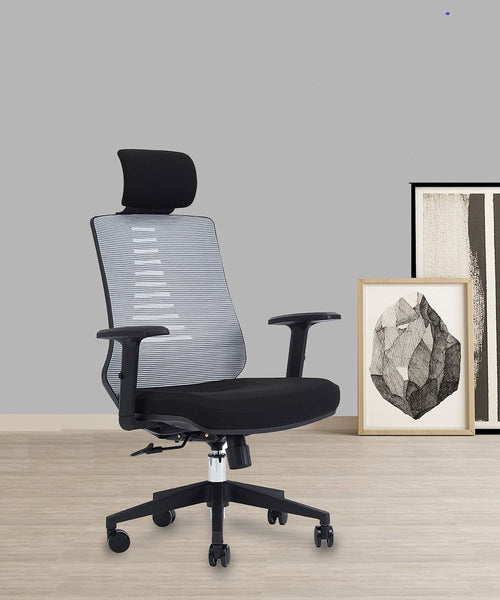 http://furngo.com/cdn/shop/products/Klasika-VIGO-Ergonomic-Office-Executive-Chair-with-Breathable-Mesh_9_grande.jpg?v=1650001839