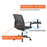 CLATINA Ergonomic Rolling Mesh Desk Chair with Executive Lumbar Support and Adjustable Swivel Design for Home Office Computer Black