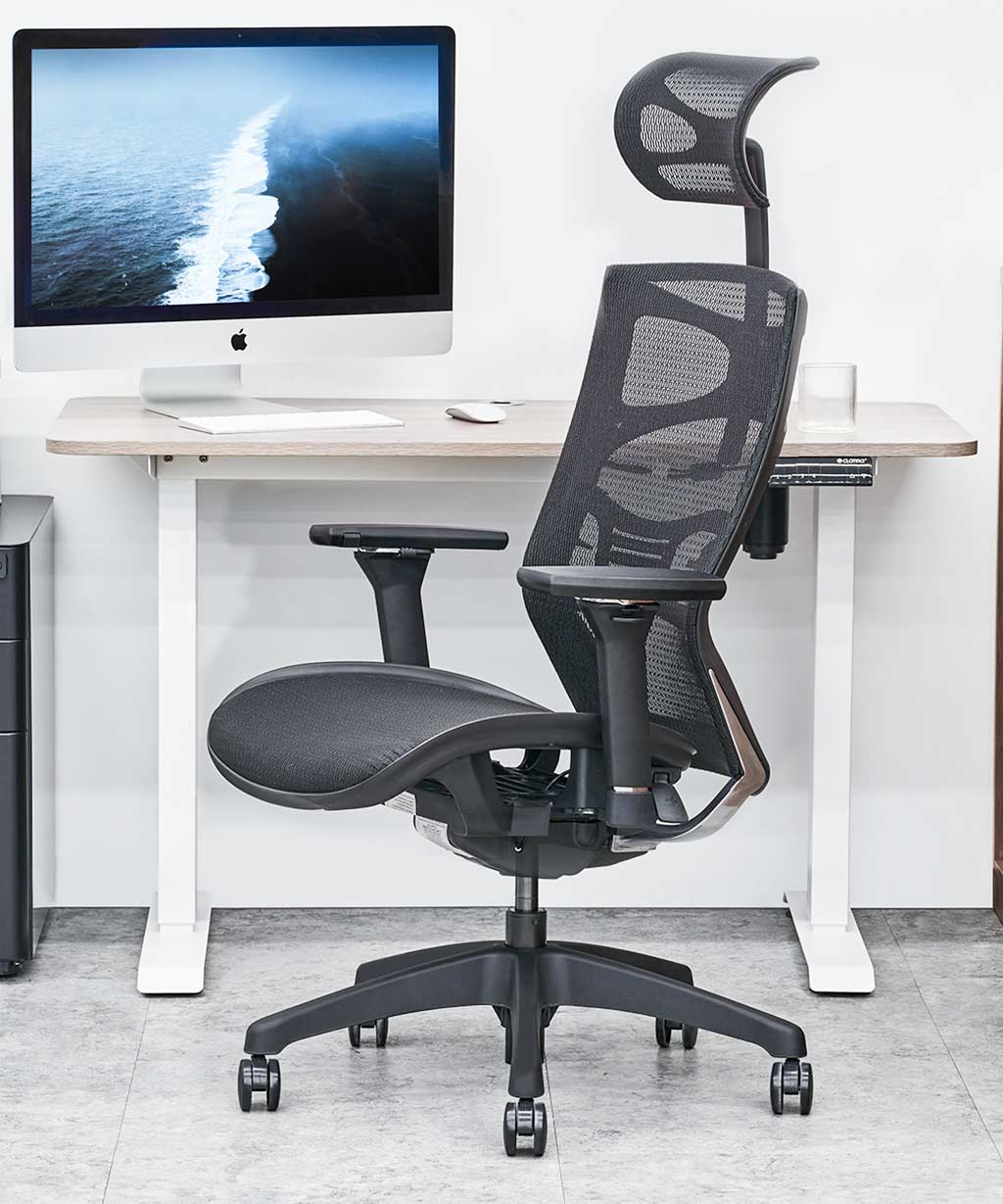 https://furngo.com/cdn/shop/products/Clatina-Lucia-Ergonomic-Adjustable-Executive-Chair-Mesh_Cushion_4.jpg?v=1610090062