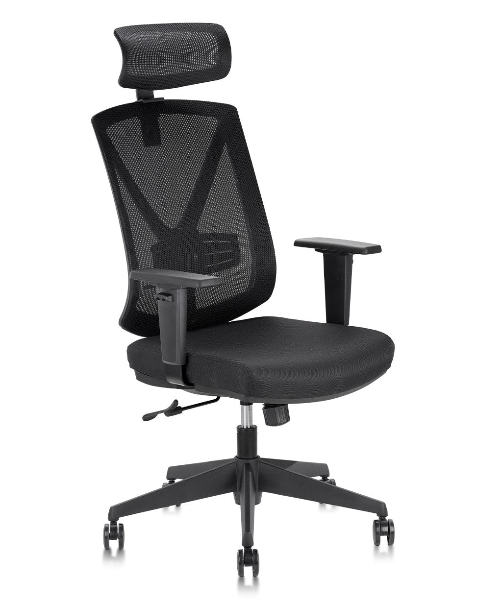 Clatina Tito-pro Ergonomic Mesh Desk Chair with Headrest