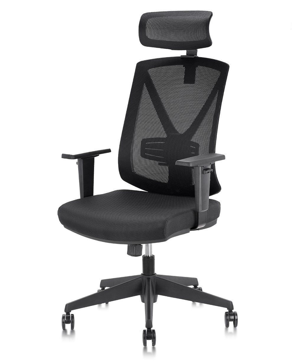 Clatina Tito-pro Ergonomic Mesh Desk Chair with Headrest
